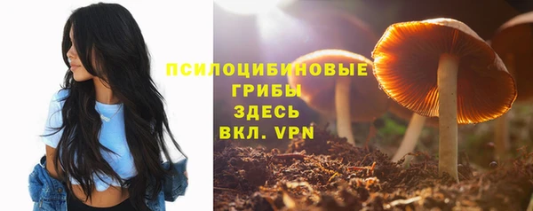 MDMA Аркадак