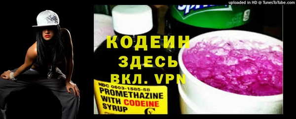 прущий лед Алзамай