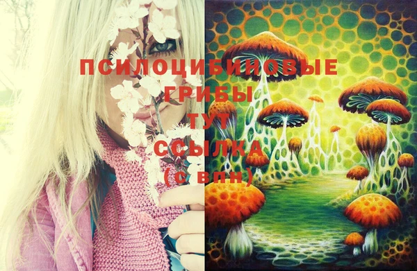 герыч Алексеевка