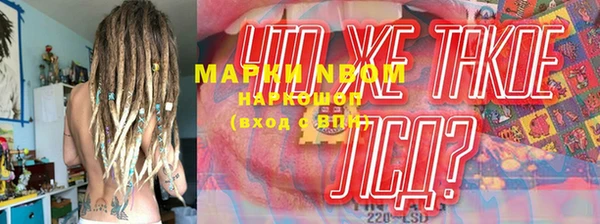 прущий лед Алзамай