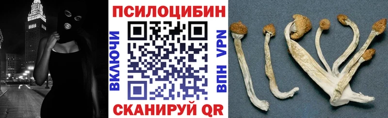 купить наркоту  Верхняя Пышма  Псилоцибиновые грибы прущие грибы 